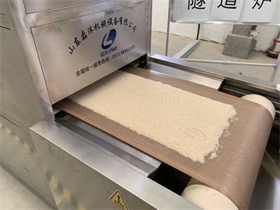 微波設備烘干白芝麻香味濃郁、用途廣泛 