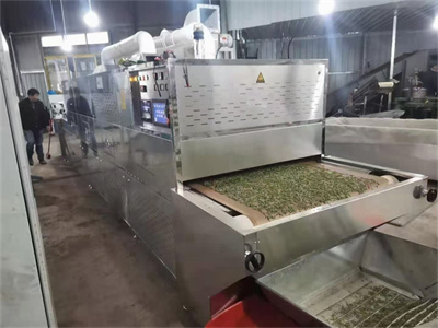 微波殺青隧道爐在茶葉加工領域的優勢顯而易見