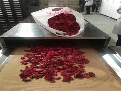 微波烘干隧道爐改變了傳統花卉加工與保鮮的方式