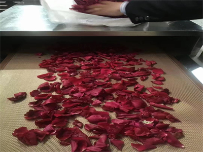微波烘干設備，讓鮮花的美麗不褪色不凋零
