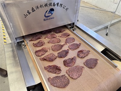 Microwave equipment for defatting and drying beef jerky