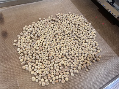 微波烘烤設備保留了油莎豆的營養價值，提升了產品品質