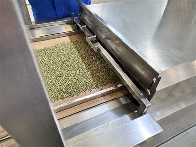 Microwave equipment for baking and pre ripening treatment of mung beans