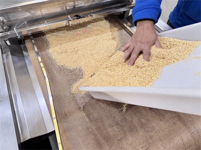Microwave baking inactivation process of wheat germ