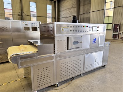 Portable small microwave heating tunnel furnace for boxed meals